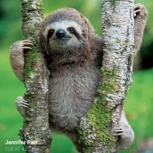 Meet your Posher, Maureen